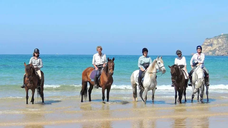 Horse Safari Kuşadası: Comprehensive Guide