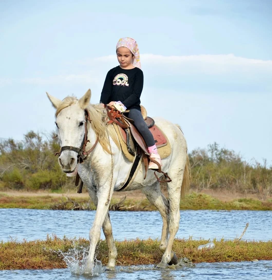 Horse safari Kuşadası: An Unforgettable Adventure Guide in the Aegean