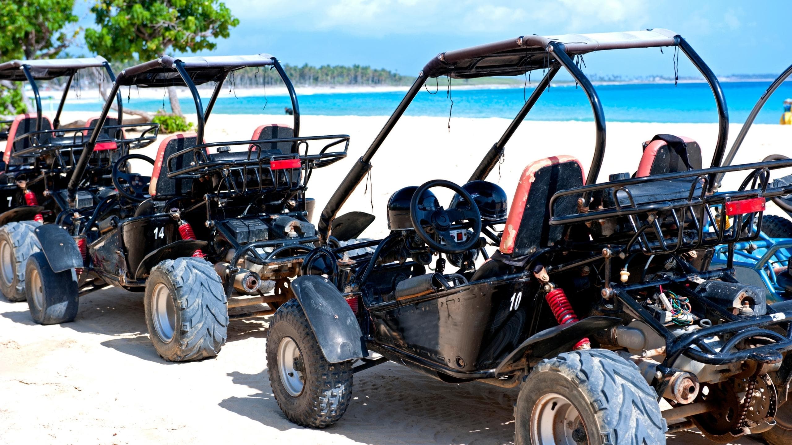 Buggy Safari