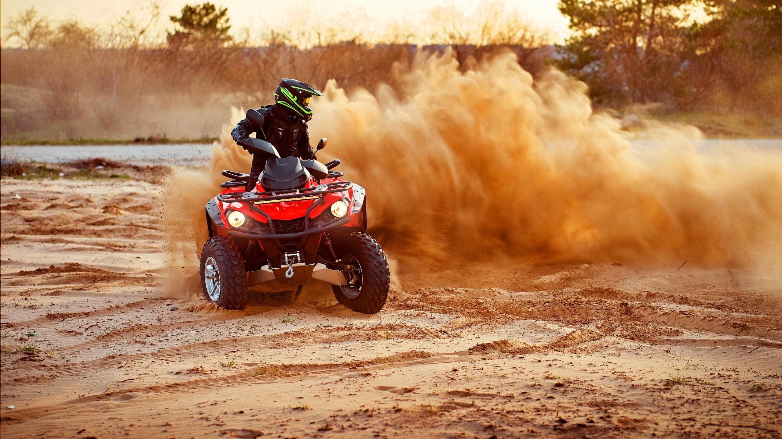 Quad Safari